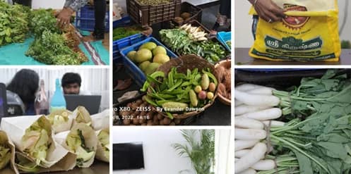 https://exalogic-store.s3.us-east-2.amazonaws.com/2.0/industries/sustainable/farm-to-office.webp